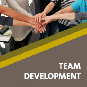 Team development Many people take for granted something that can’t be taken for granted: that people will work together productively and enthusiastically. But how can teams achieve this? And: how can a well-oiled team become even better? Are investments in team coaching, organizational development, new communication platforms or introducing new conflict management systems worth it?